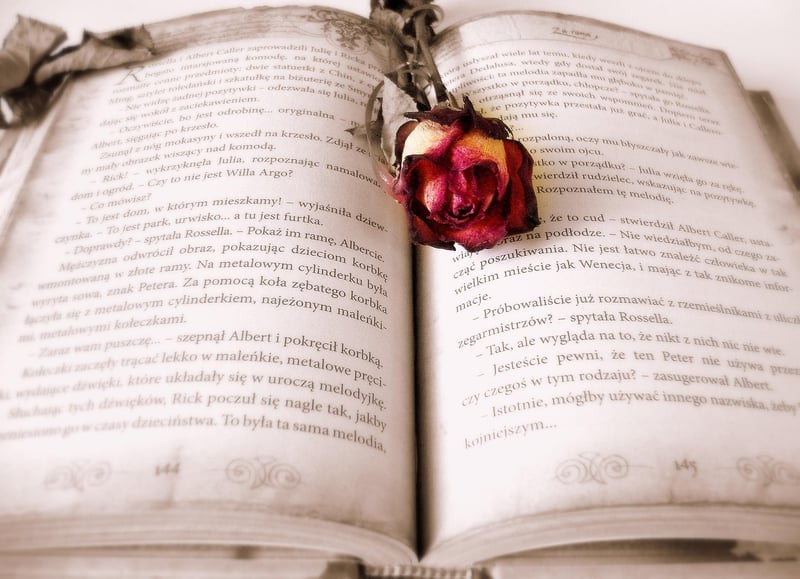 Book Clutch Purse
